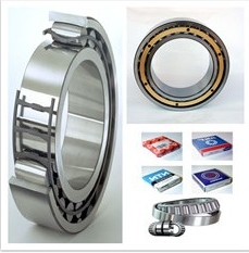 61809-2RSR-Y bearings